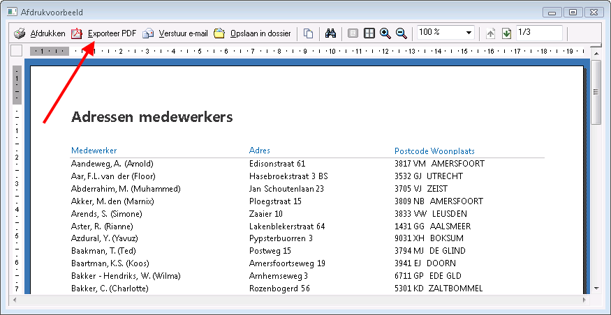Dat_Rapport opslaan als bestand (10)