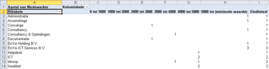 Draaitabel toevoegen met categorie-indeling - View2.png