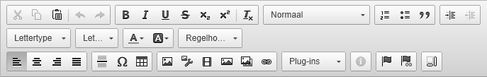 Ins_Icoontjes CMS Editor (10)