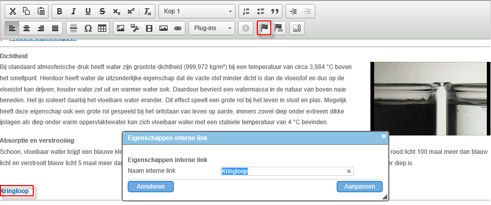 Ins_Interne link toevoegen (20)