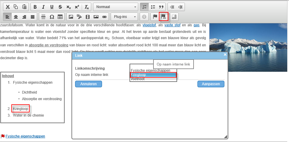 Ins_Interne link toevoegen (40)